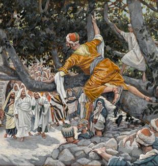 Zacchaeus Waiting for Christ. Wikimedia Commons